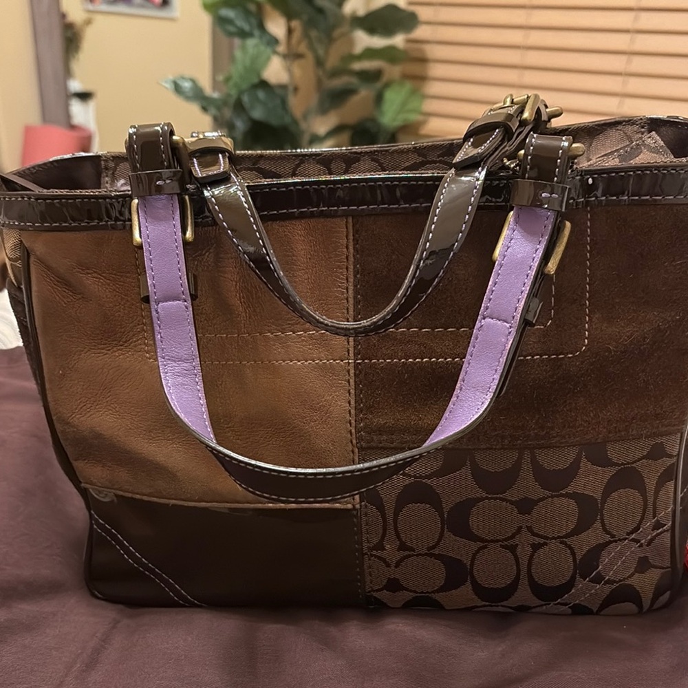 Coach Brown and Purple Bag